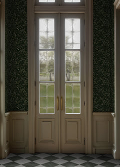 WPWF6641-window-film-room-scene-2