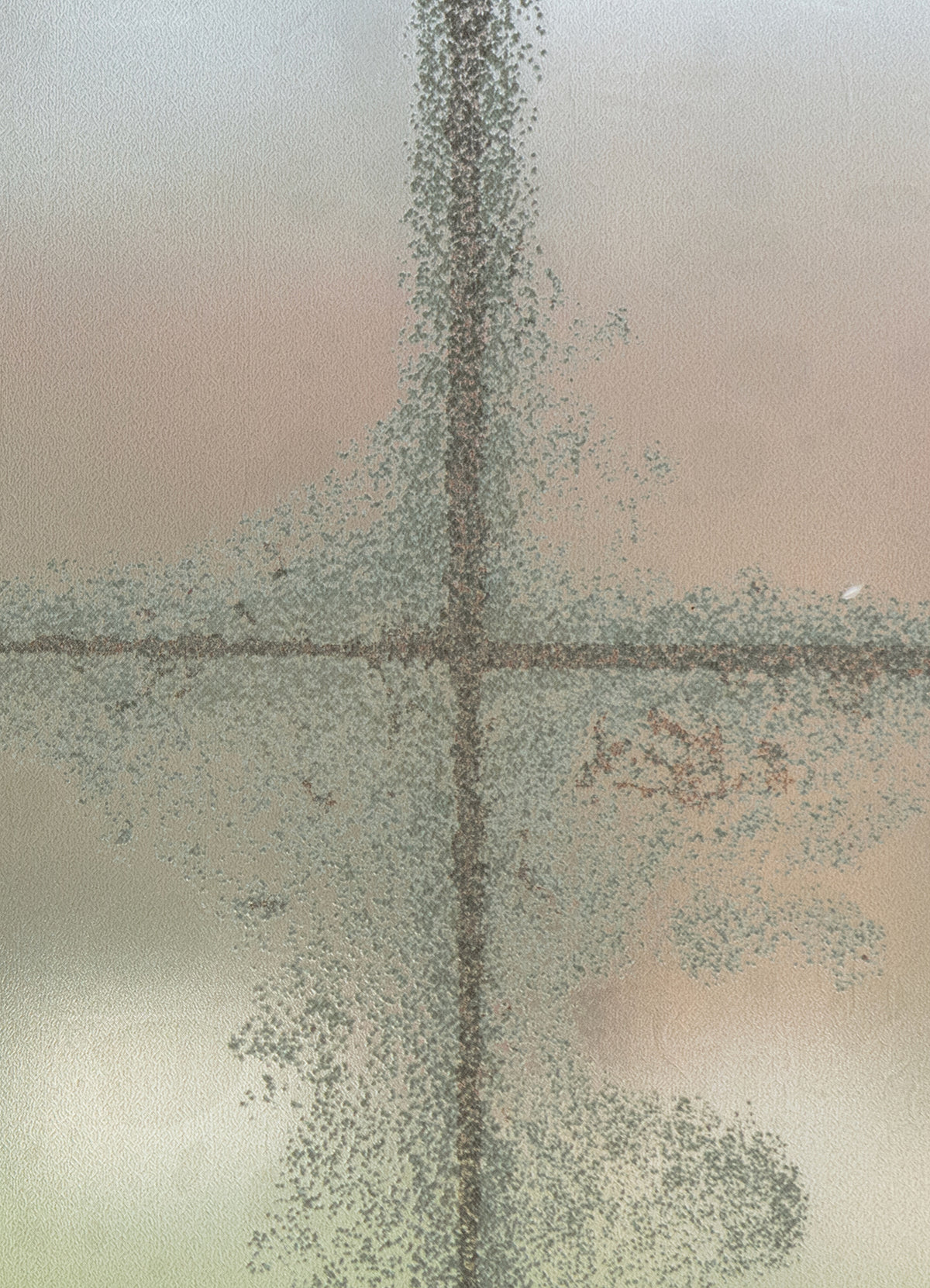 WPWF6641-window-film-detail-closeup