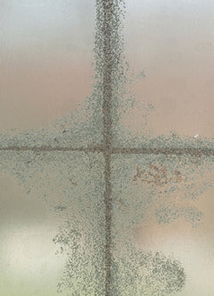 WPWF6641-window-film-detail-closeup